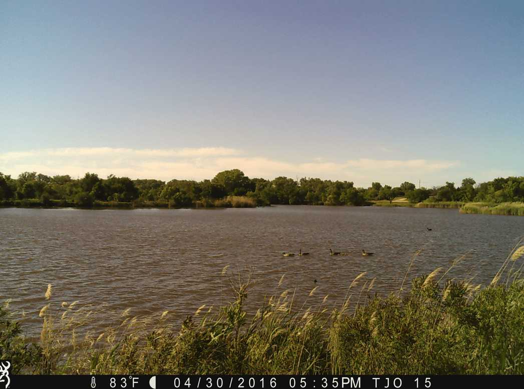 Screen Shot 2016-05-02 at 10.28.55 PM