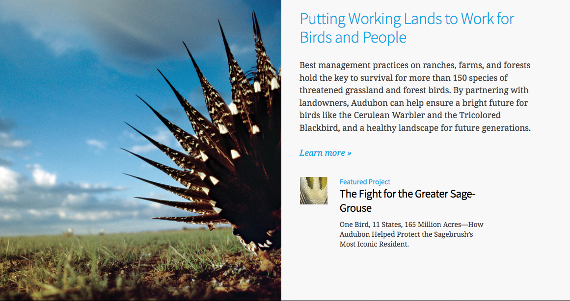 Screen Shot 2019-03-22 at 12.09.41 PM.png