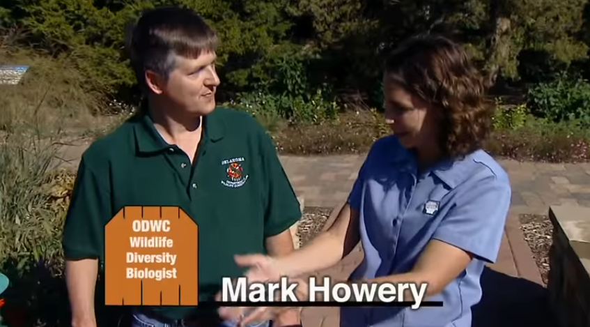 Screen Shot 2019-03-22 at 12.16.09 PM