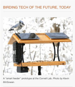 Screen Shot 2020-01-19 at 9.40.16 AM