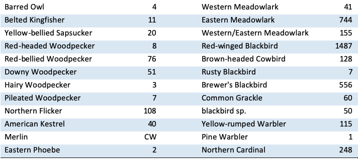 Screen Shot 2020-12-25 at 2.55.04 PM